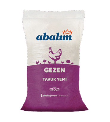Gezen Tavuk Yemi